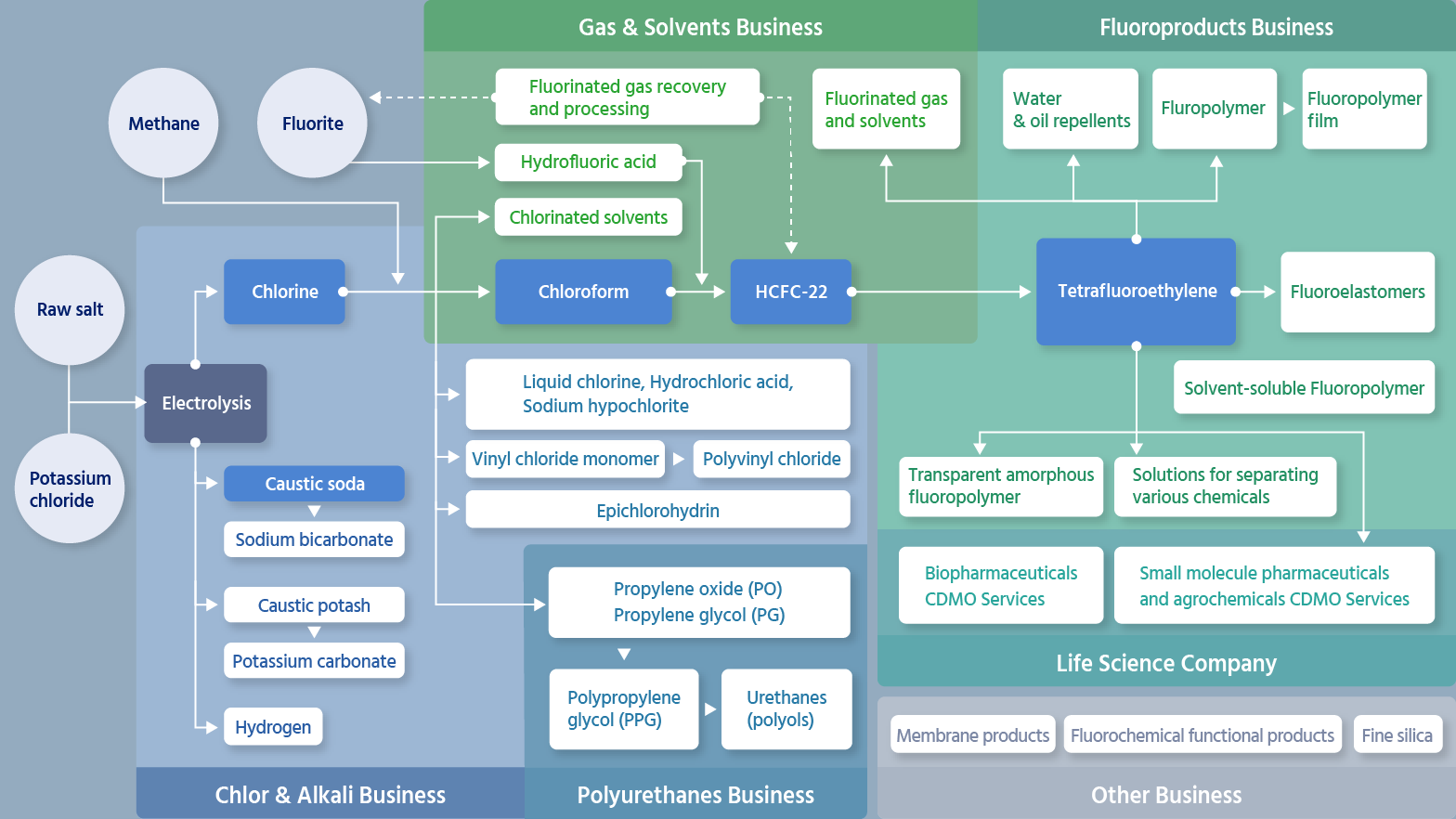 AGC proprietary chemical chain (integrated production built around fluorine and chlorine chemistry)